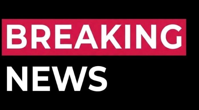 A Life Dedicated to Sharing Other People’s Stories Comes to a Gentle Close A Life Dedicated to Sharing Other People’s Stories Comes to a Gentle Close - featured image