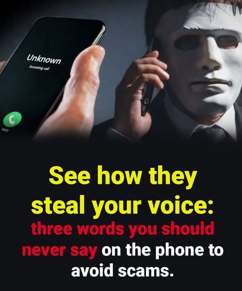 Discover How Scammers Can Steal Your Voice and Exploit You: Learn the Three Critical Words You Should Never Say on the Phone, the Hidden Tricks Criminals Use to Gain Control, and Simple Steps You Can Take to Protect Yourself from Identity Theft and Phone-Based Fraud Before It’s Too Late. - featured image Discover How Scammers Can Steal Your Voice and Exploit You: Learn the Three Critical Words You Should Never Say on the Phone, the Hidden Tricks Criminals Use to Gain Control, and Simple Steps You Can Take to Protect Yourself from Identity Theft and Phone-Based Fraud Before It’s Too Late. - featured image