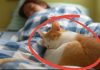 The Most Serious Illness from Sleeping with Cats: Prevention and Tips The Most Serious Illness from Sleeping with Cats: Prevention and Tips - featured image