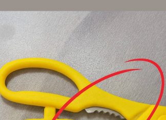 What’s That Strange Toothy Part on Kitchen Scissors For? 🔪 What’s That Strange Toothy Part on Kitchen Scissors For? 🔪 - featured image