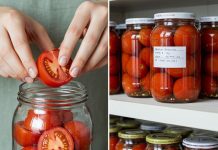 Fresh tomatoes for 2 years, without vinegar: the infallible method of making them last so long Fresh tomatoes for 2 years, without vinegar: the infallible method of making them last so long - featured image