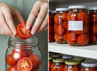 Fresh tomatoes for 2 years, without vinegar: the infallible method of making them last so long Fresh tomatoes for 2 years, without vinegar: the infallible method of making them last so long - featured image