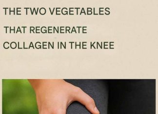 Vegetables that strengthen collagen in the knees and joints Vegetables that strengthen collagen in the knees and joints - featured image