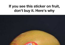 Never knew about this Never knew about this - featured image