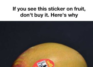 Never knew about this Never knew about this - featured image