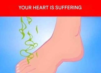 5 signs your heart is in serious danger (link in the first comment) 5 signs your heart is in serious danger (link in the first comment) - featured image