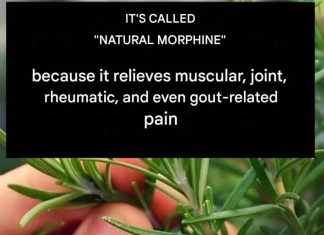 Natural Pain Relief Infusion: The Miracle Recipe with 4 Ingredients That Revolutionizes Alternative Medicine Natural Pain Relief Infusion: The Miracle Recipe with 4 Ingredients That Revolutionizes Alternative Medicine - featured image