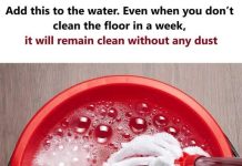 Add This to Your Mop Water—And Keep Your Floors Dust-Free for a Week Without Cleaning Add This to Your Mop Water—And Keep Your Floors Dust-Free for a Week Without Cleaning - featured image