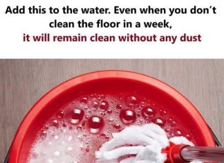 Add This to Your Mop Water—And Keep Your Floors Dust-Free for a Week Without Cleaning Add This to Your Mop Water—And Keep Your Floors Dust-Free for a Week Without Cleaning - featured image
