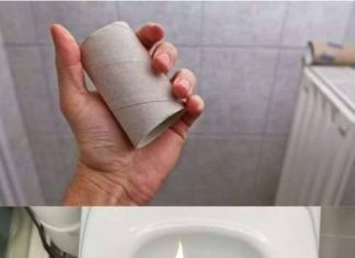 Because many started burning the roll of toilet paper in the bathroom. Because many started burning the roll of toilet paper in the bathroom. - featured image