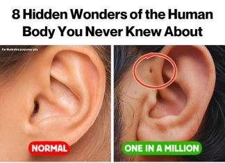 Amazing and Unusual Body Features Found Only in a Few People Amazing and Unusual Body Features Found Only in a Few People - featured image