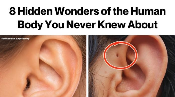 Amazing and Unusual Body Features Found Only in a Few People Amazing and Unusual Body Features Found Only in a Few People - featured image