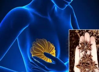 8 Health Benefits & Uses of Anise Seeds for Women — Backed by Tradition & Science 8 Health Benefits & Uses of Anise Seeds for Women — Backed by Tradition & Science - featured image