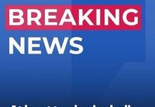 Twelve dead including famous singer in plane crash off remote island Twelve dead including famous singer in plane crash off remote island - featured image