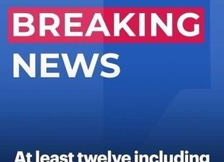 Twelve dead including famous singer in plane crash off remote island Twelve dead including famous singer in plane crash off remote island - featured image