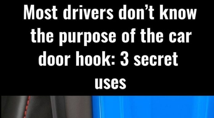 The hook on the car door: 3 unexpected uses The hook on the car door: 3 unexpected uses - featured image