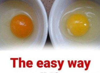 The easy way to tell if your eggs came from a sick chicken The easy way to tell if your eggs came from a sick chicken - featured image