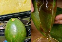 How to Make Homemade Avocado Oil the Easy Way How to Make Homemade Avocado Oil the Easy Way - featured image