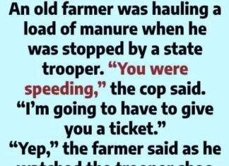 Why Flies Kept Circling an Old Farmer Why Flies Kept Circling an Old Farmer - featured image