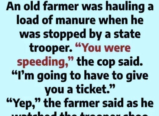 Why Flies Kept Circling an Old Farmer Why Flies Kept Circling an Old Farmer - featured image