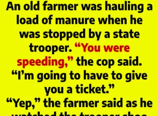 Why Flies Kept Circling an Old Farmer Why Flies Kept Circling an Old Farmer - featured image