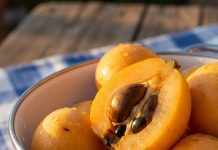 I Spent Years Wondering What This Fruit Was — The Answer Changed Everything I Spent Years Wondering What This Fruit Was — The Answer Changed Everything - featured image