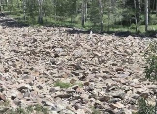 Test Your Eyesight with This Tricky Optical Illusion Test Your Eyesight with This Tricky Optical Illusion - featured image