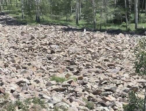 Test Your Eyesight with This Tricky Optical Illusion Test Your Eyesight with This Tricky Optical Illusion - featured image