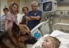 Moving moment: Boy hugs his dog before surgery — the reaction is unforgettable Moving moment: Boy hugs his dog before surgery — the reaction is unforgettable - featured image