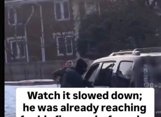 A **U.S. Immigration and Customs Enforcement (ICE) agent shot and killed a 37-year-old woman A **U.S. Immigration and Customs Enforcement (ICE) agent shot and killed a 37-year-old woman - featured image