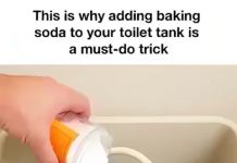 The Simple Toilet Trick You Need: Baking Soda in the Tank The Simple Toilet Trick You Need: Baking Soda in the Tank - featured image