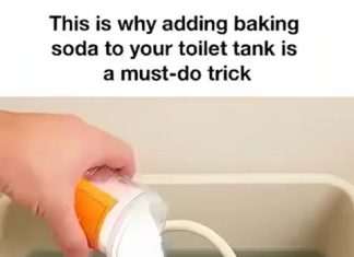 The Simple Toilet Trick You Need: Baking Soda in the Tank The Simple Toilet Trick You Need: Baking Soda in the Tank - featured image