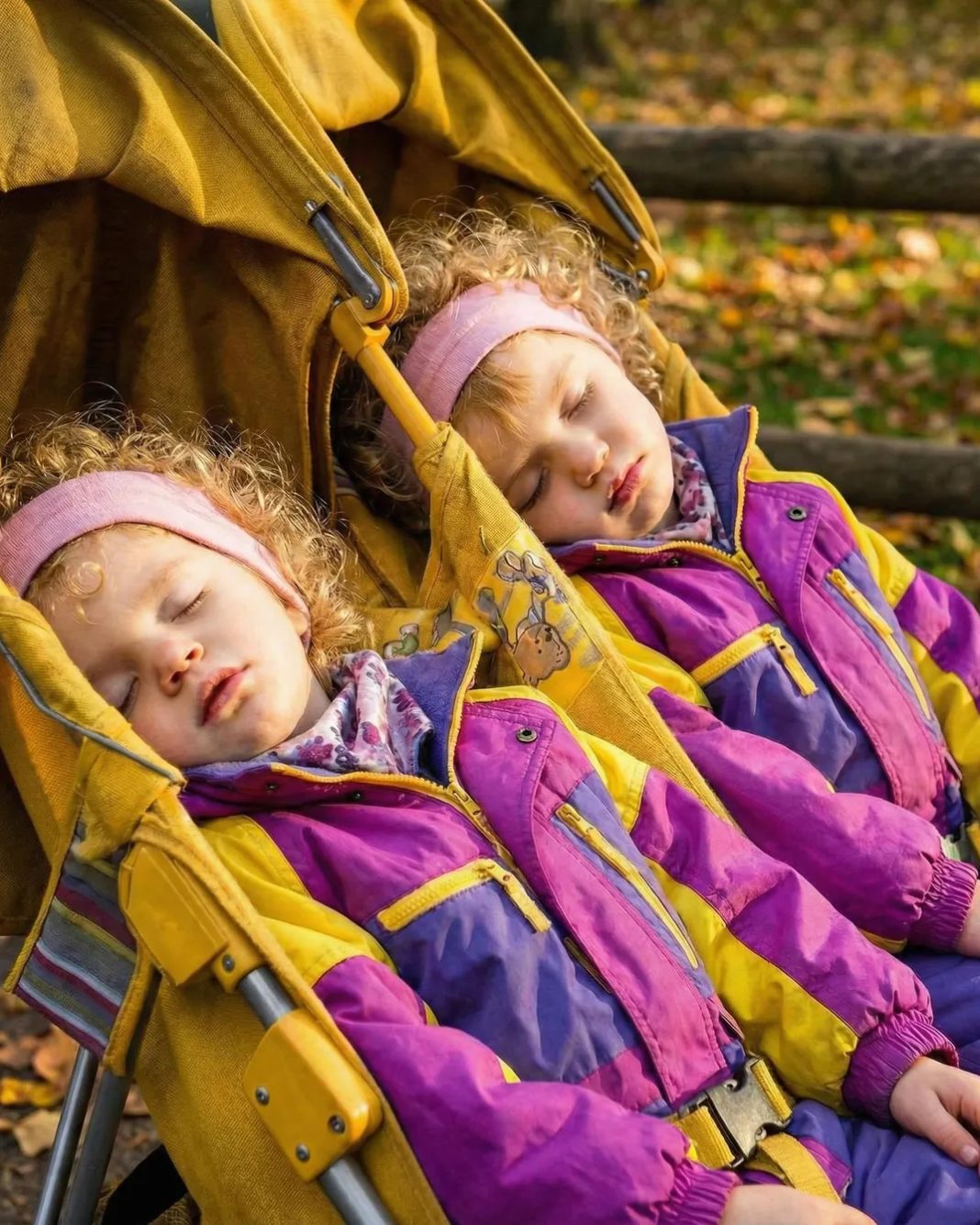 Search Results for: How Finding Abandoned Twins Changed Our Family Forever - featured image