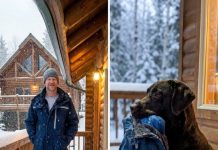 My Dog Found a Jacket Linked to My Husband’s Past — Following Him Led to an Unexpected Discovery My Dog Found a Jacket Linked to My Husband’s Past — Following Him Led to an Unexpected Discovery - featured image