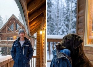 My Dog Found a Jacket Linked to My Husband’s Past — Following Him Led to an Unexpected Discovery My Dog Found a Jacket Linked to My Husband’s Past — Following Him Led to an Unexpected Discovery - featured image