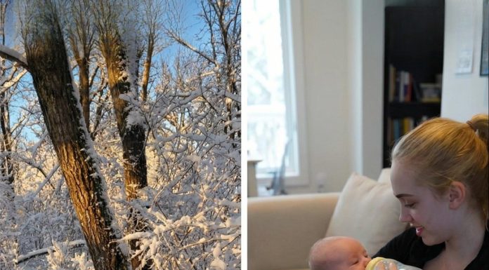 I Discovered a Crying Baby on a Park Bench — and the Truth Changed My Life I Discovered a Crying Baby on a Park Bench — and the Truth Changed My Life - featured image