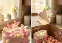 A Mother’s Birthday Plan Faces an Unexpected Moment A Mother’s Birthday Plan Faces an Unexpected Moment - featured image