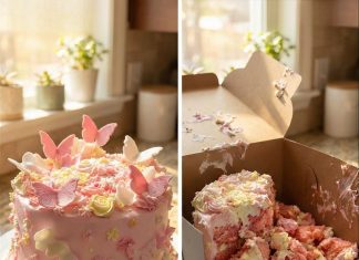 A Mother’s Birthday Plan Faces an Unexpected Moment A Mother’s Birthday Plan Faces an Unexpected Moment - featured image