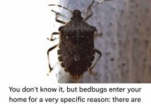 Key factual correction (very important) Key factual correction (very important) - featured image