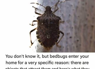 Key factual correction (very important) Key factual correction (very important) - featured image