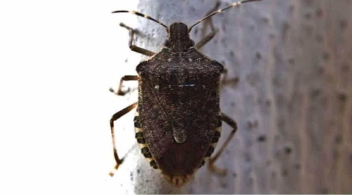 Key factual correction (very important) Key factual correction (very important) - featured image