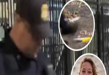 Video Shows DHS Officer Kicking Candles at Renee Good Memorial — Public Reacts Video Shows DHS Officer Kicking Candles at Renee Good Memorial — Public Reacts - featured image