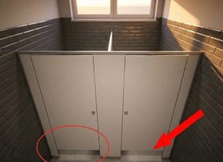Why Public Bathroom Doors Don’t Reach the Floor: The Surprising Truth Why Public Bathroom Doors Don’t Reach the Floor: The Surprising Truth - featured image