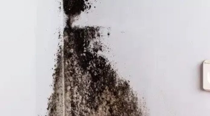 If your walls are turning black in a corner, it’s no accident: find out what it really means (and how to fix it) If your walls are turning black in a corner, it’s no accident: find out what it really means (and how to fix it) - featured image