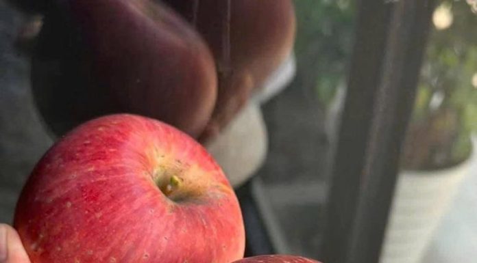 How Eating an Apple Every Morning Benefits You How Eating an Apple Every Morning Benefits You - featured image