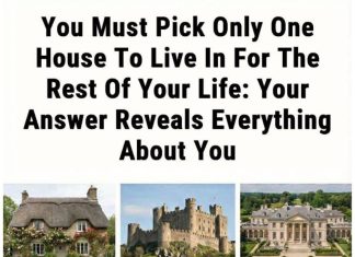 The Home You Choose Reveals More About You Than You Think The Home You Choose Reveals More About You Than You Think - featured image