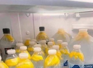 Ginger Water: The Healthiest Drink to Burn Fat and Tone Your Body Ginger Water: The Healthiest Drink to Burn Fat and Tone Your Body - featured image