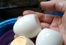 Boiled vs. Fried Eggs: Which Makes the Healthier Breakfast? Boiled vs. Fried Eggs: Which Makes the Healthier Breakfast? - featured image