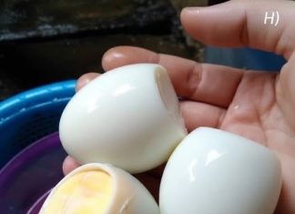 Boiled vs. Fried Eggs: Which Makes the Healthier Breakfast? Boiled vs. Fried Eggs: Which Makes the Healthier Breakfast? - featured image