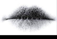 What do you see in the image? The answer reveals your psychological nature. What do you see in the image? The answer reveals your psychological nature. - featured image